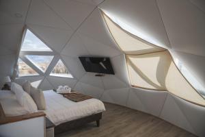 纳塔列斯港Domos by Toore Patagonia的一间设有一张床的房间和帐篷内的电视