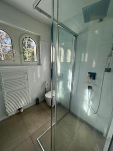 阿斯科纳Casa Segnale的一间带玻璃淋浴和卫生间的浴室