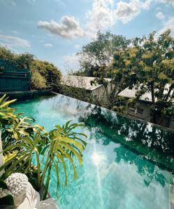Ravine des CabrisChambres d'hôtes & spa Le Jardin de Ravintsara的庭院里的一个蓝色海水游泳池