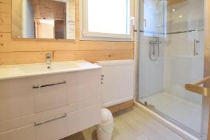 吕兹-圣索沃尔Domaine Du Sauveur的一间带水槽和淋浴的浴室