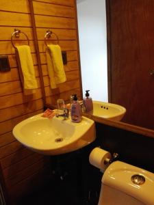 蓬塔阿雷纳斯ALMER HOSTAL的一间带水槽、卫生间和镜子的浴室