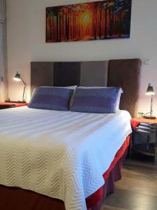 塔里哈Studio Mirador, todo lo que necesitas para disfrutar的一间卧室配有一张带紫色枕头的大床
