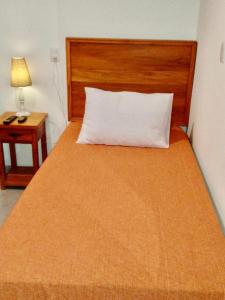 蒂拉登特斯Casa Temporada Tiradentes的一间卧室配有一张带枕头和桌子的床