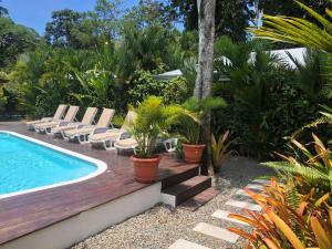 别霍港Alloro Jungle Villas的后院设有游泳池、椅子和木制甲板