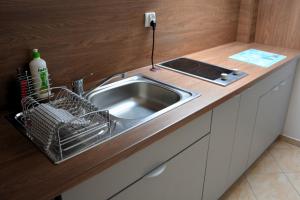 哈日科维PARADISE Apartamenty的厨房柜台配有不锈钢水槽