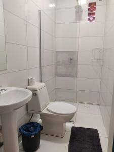 弗朗西斯科贝尔特朗Hotel & Restaurante Frezza的白色的浴室设有卫生间和水槽。