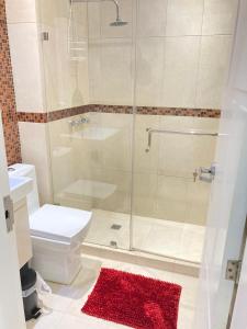 加拉加斯HATILLO SUITE的带淋浴、卫生间和红色地毯的浴室