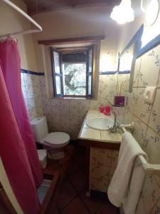 La Encina Casa Rural的一间带卫生间、水槽和镜子的浴室