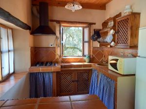 La Encina Casa Rural的厨房配有水槽和微波炉