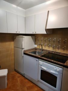 奥伦塞Estudio con vistas a la ciudad的厨房配有白色橱柜、水槽和冰箱。