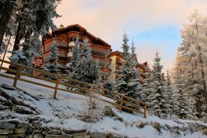 克莱恩 蒙塔纳皇家酒店的雪中树林中的小屋