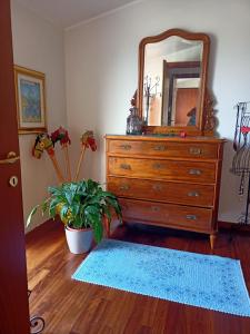 ElmasNice的一间卧室配有带镜子和植物的梳妆台