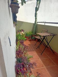 ElmasNice的一个带桌子和一束植物的庭院