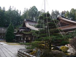 日式旅馆所在大楼