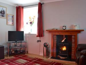 班夫Coldhome Cottage的客厅设有壁炉和电视。