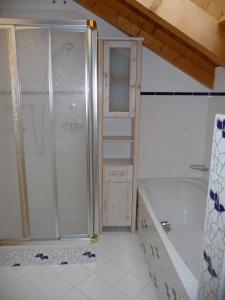 多比亚科Villa Pircher的带淋浴和浴缸的浴室