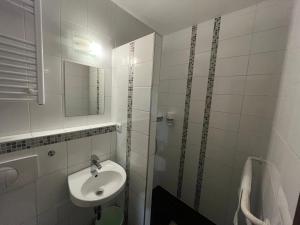埃尔德波尔哈中央 - 伊特利姆畔兹奥旅馆的白色的浴室设有水槽和淋浴。