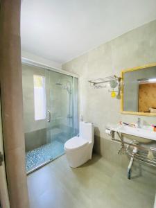 DivulapitiyaSundale Hotel的带淋浴、卫生间和盥洗盆的浴室