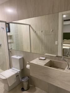 特雷西纳HOTEL CORTESE的一间带水槽、卫生间和镜子的浴室