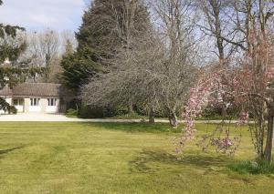 阿克顿特维尔Garden Cottage, Five Pines的一座院子,里面有一棵树,花朵粉红色