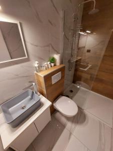 萨格勒布A8 b&b的浴室配有卫生间、盥洗盆和淋浴。