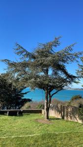 朗西厄Maison vue exeptionnelle sur la mer的草场中间的树