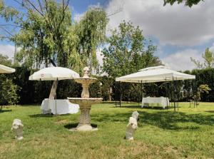 马尔帕尔蒂达德卡塞雷斯Hotel Peña Cruz的一个带喷泉和两把遮阳伞的公园