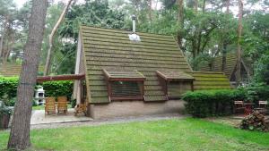 拉纳肯Chalet met wellness的庭院中带绿色屋顶的小房子