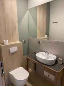 克沃兹科Centrum Noclegowe Amfiteatr的一间带水槽、卫生间和镜子的浴室