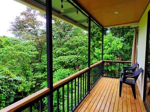 CASA SIBU Jungle Loft con AC, cocina y balcón a 5 min del centro的阳台或露台