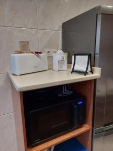 毕尔巴鄂Piso luminoso, amplio y tranquilo en Casco Viejo的厨房柜台配有微波炉和冰箱。