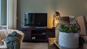 鹿特丹CRASH'NSTAY - Maison du Ville的客厅配有电视、椅子和植物
