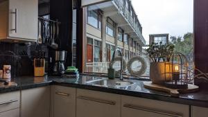 鹿特丹CRASH'NSTAY - Maison du Ville的带水槽的厨房台面和窗户