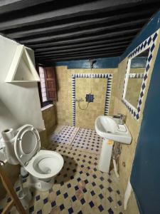 非斯Riad dar Kirami的一间带卫生间和水槽的浴室
