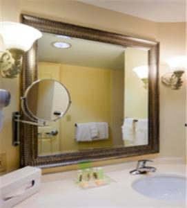 尚蒂伊尚蒂伊杜勒斯世博机场假日酒店的一间带大镜子和盥洗盆的浴室
