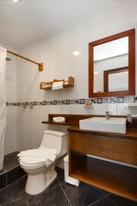 比亚米尔港Casita de la Playa的一间带卫生间、水槽和镜子的浴室