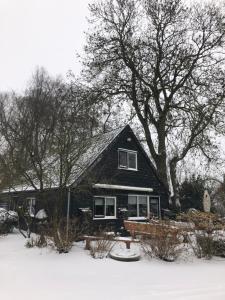 羊角村Gieters Geluk的一座黑色房子,地上有树木和雪