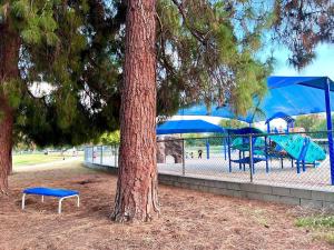 西诺Hidden Gem LA: 2bd guesthouse w/ dreamy backyard的绿树旁的蓝色长椅和游乐场
