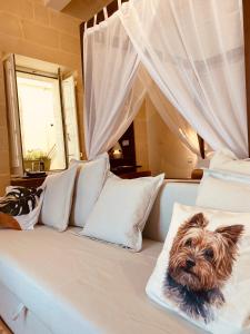 科斯皮夸Casa Maria Tereza的一只小狗坐在床上,床上摆着枕头
