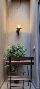 特拉维夫funattlv的墙上的灯,有长凳和植物