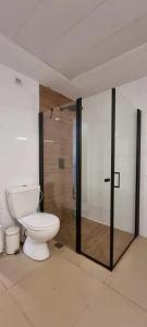 特拉维夫funattlv的一间带卫生间和玻璃淋浴间的浴室