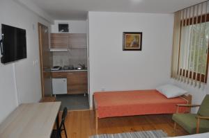 索科矿泉村SMEŠTAJ SOLARIS Studio Apartmani的小房间设有床和厨房