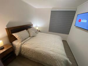 安托法加斯塔Pleno Centro Apart的一间卧室配有一张床和一台平面电视