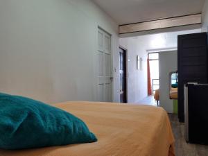 科隆Casa Bajo Congo的一间卧室配有一张带绿色枕头的床