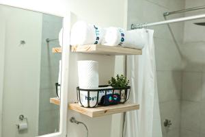 弗洛勒斯Recently Renovated Apartment The Heart Of Flores的浴室设有毛巾架和镜子