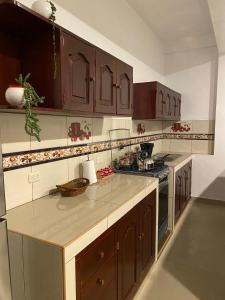 查查波亚斯Santa Lucía Suite Hotel的厨房配有木制橱柜和台面
