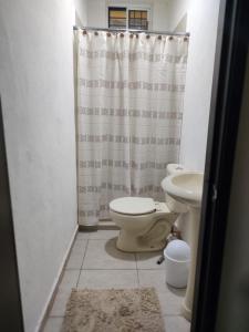 巴耶斯城Casa equipada Cd Valles的一间带卫生间和淋浴帘的浴室