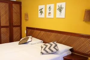 帕拉库鲁Hotel Vento Brasil的一间卧室配有一张带两个枕头的床