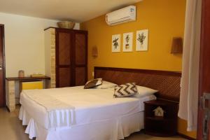 帕拉库鲁Hotel Vento Brasil的卧室配有一张床和空调