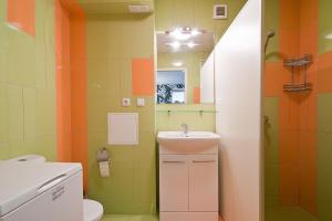德鲁斯基宁凯阿巴里奥斯公寓的一间带水槽和镜子的浴室